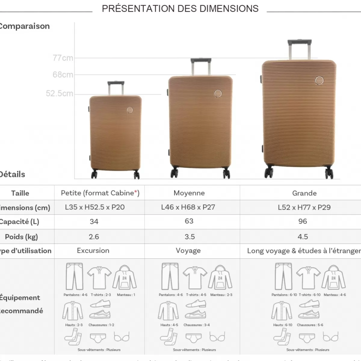 Lot 3 valises rigides dont 1 valise cabine ABS TSA^David Jones Best