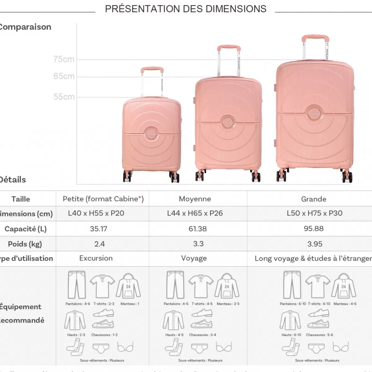 Lot 3 valises rigides dont 1 valise cabine TSA PETE^David Jones Cheap