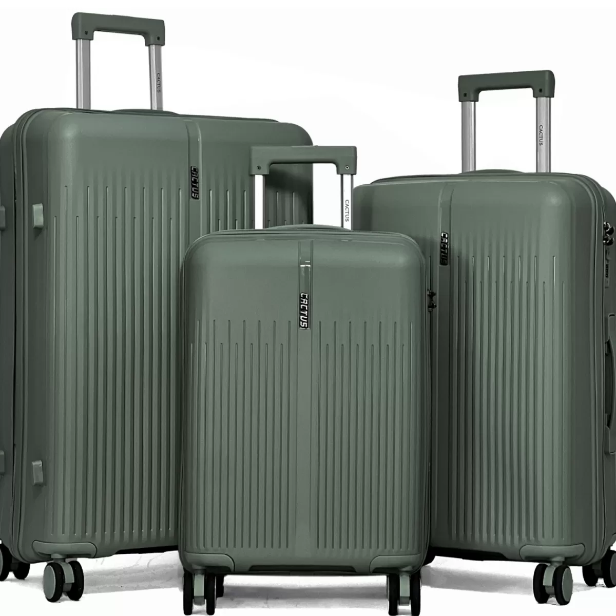 Lot de 3 valises rigides dont une valise cabine TSA PETE^Cactus Hot
