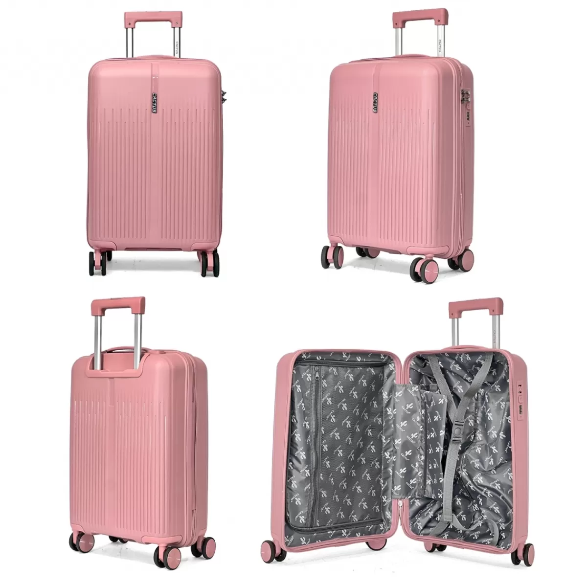 Lot de 3 valises rigides dont une valise cabine TSA PETE^Cactus Hot