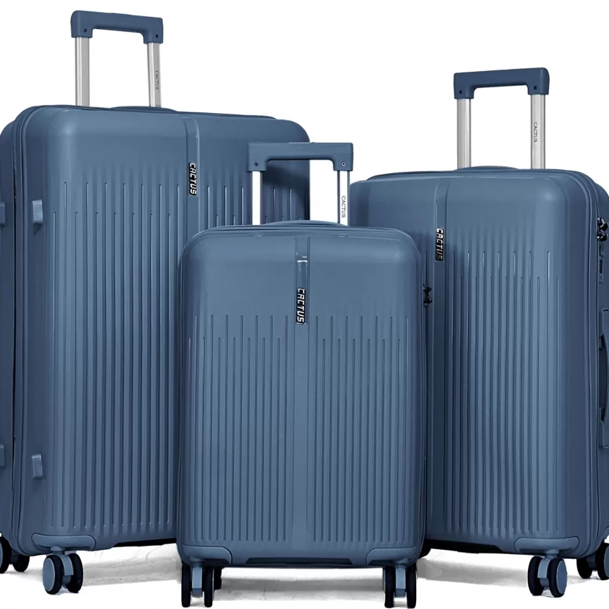 Lot de 3 valises rigides dont une valise cabine TSA PETE^Cactus Hot