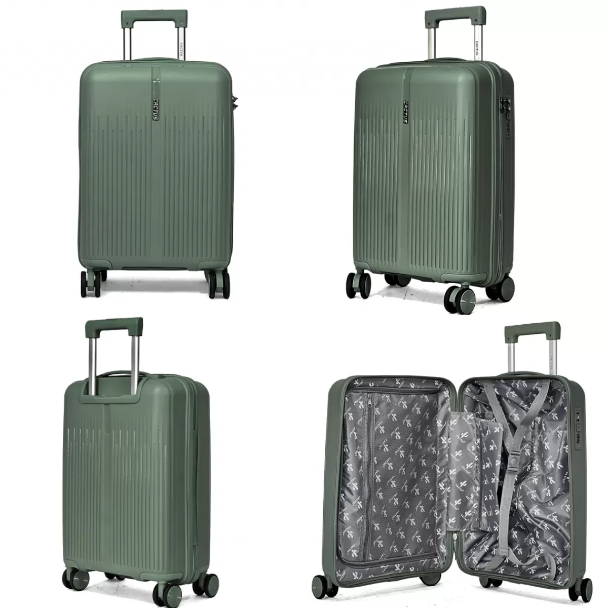 Lot de 3 valises rigides dont une valise cabine TSA PETE^Cactus Hot