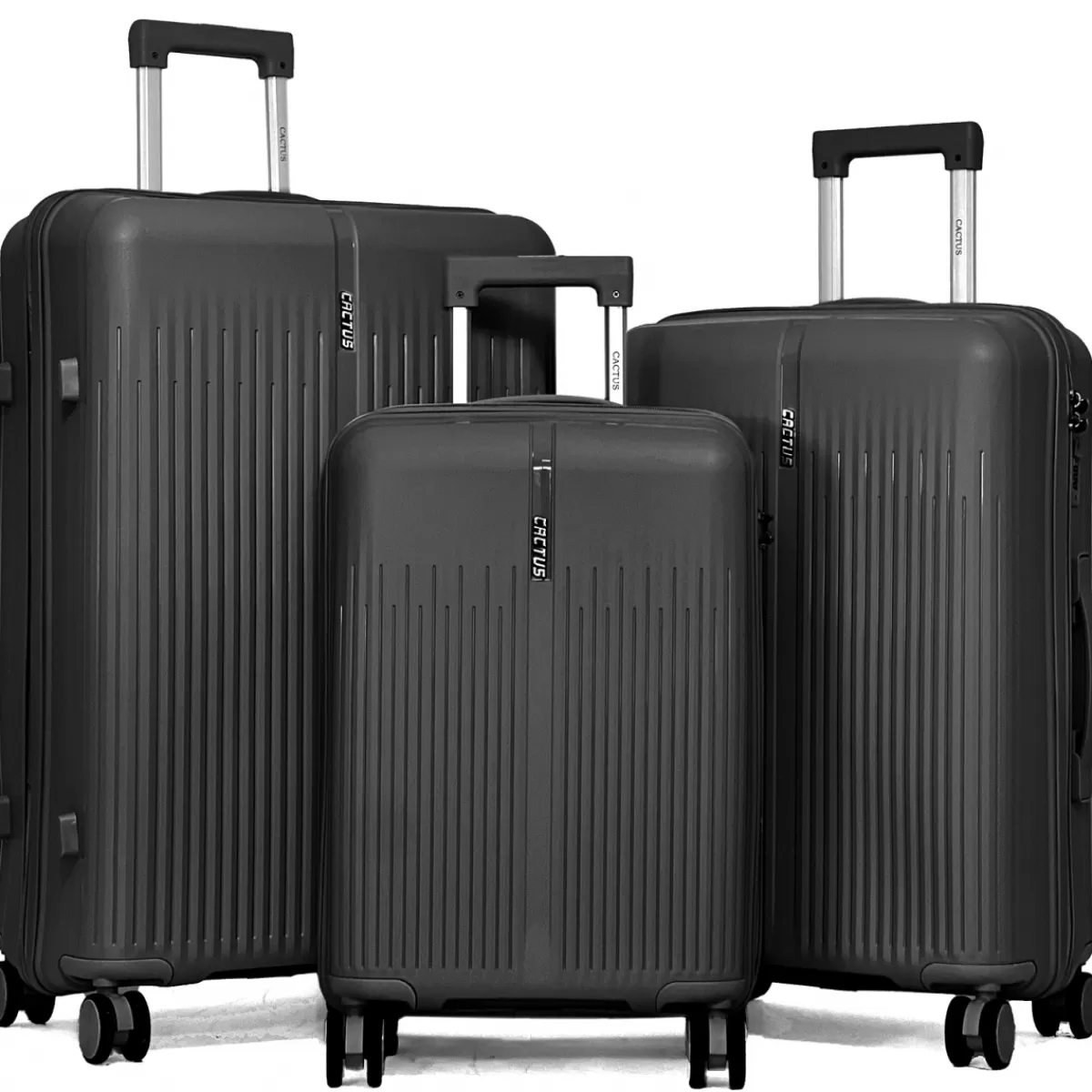 Lot de 3 valises rigides dont une valise cabine TSA PETE^Cactus Hot