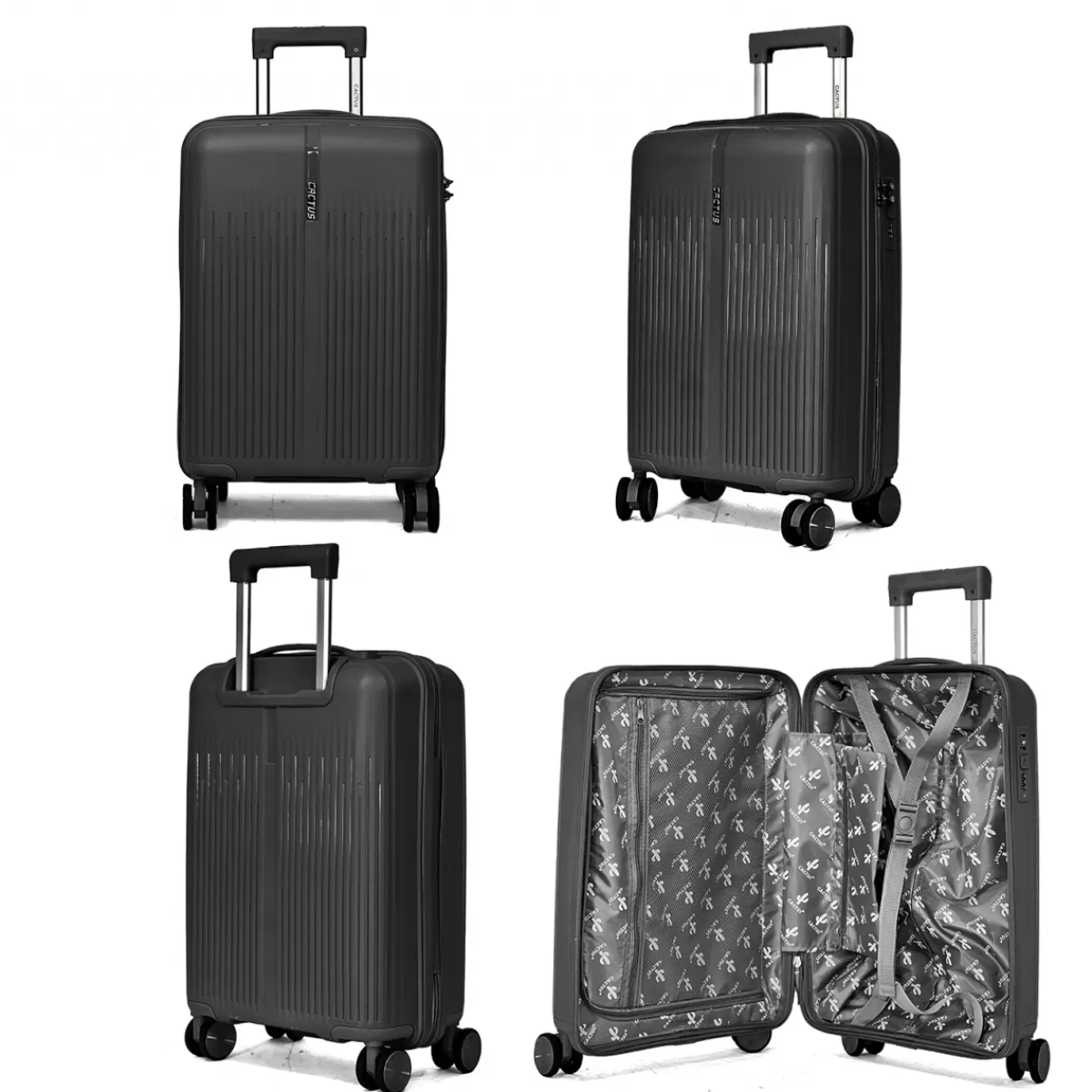 Lot de 3 valises rigides dont une valise cabine TSA PETE^Cactus Hot
