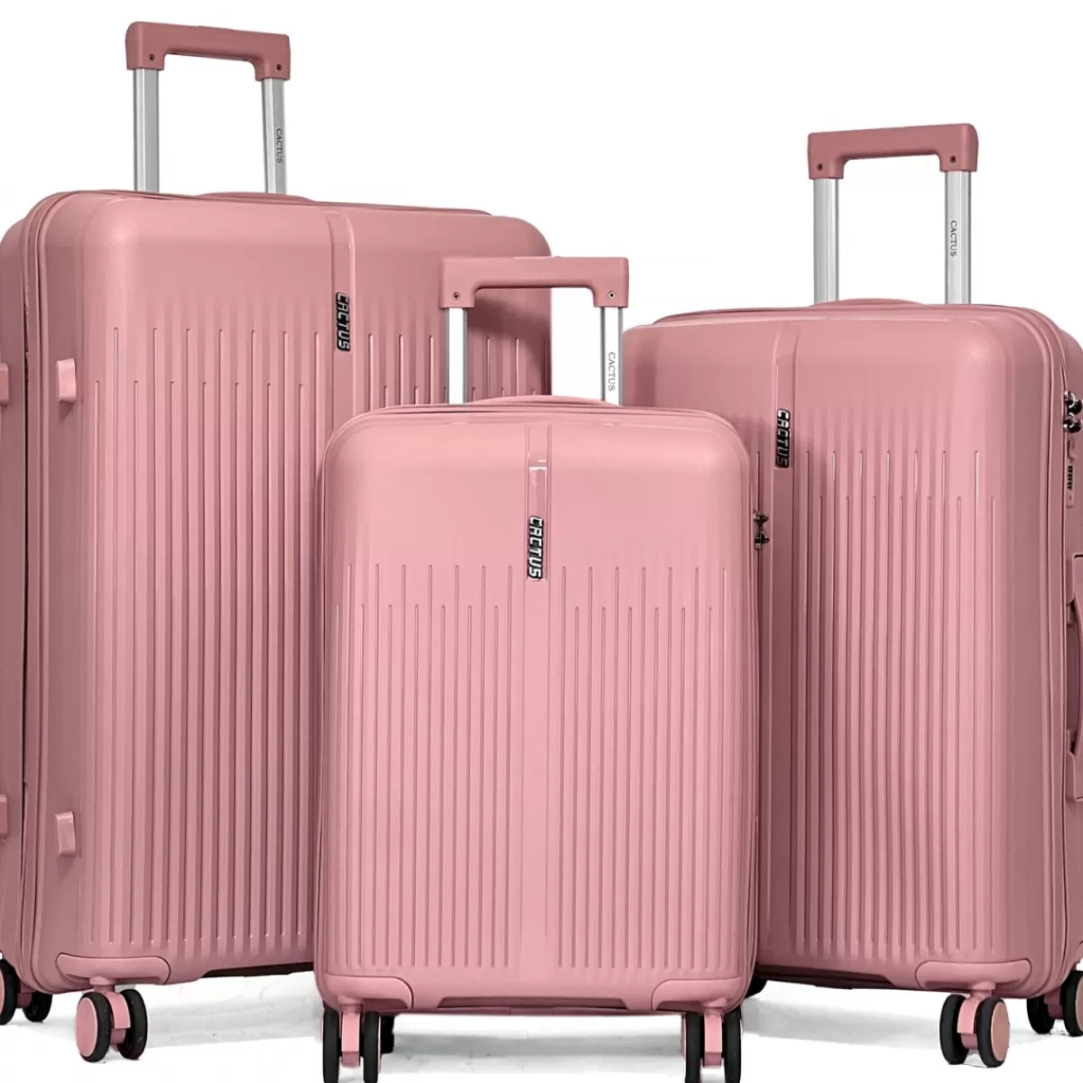 Lot de 3 valises rigides dont une valise cabine TSA PETE^Cactus Hot