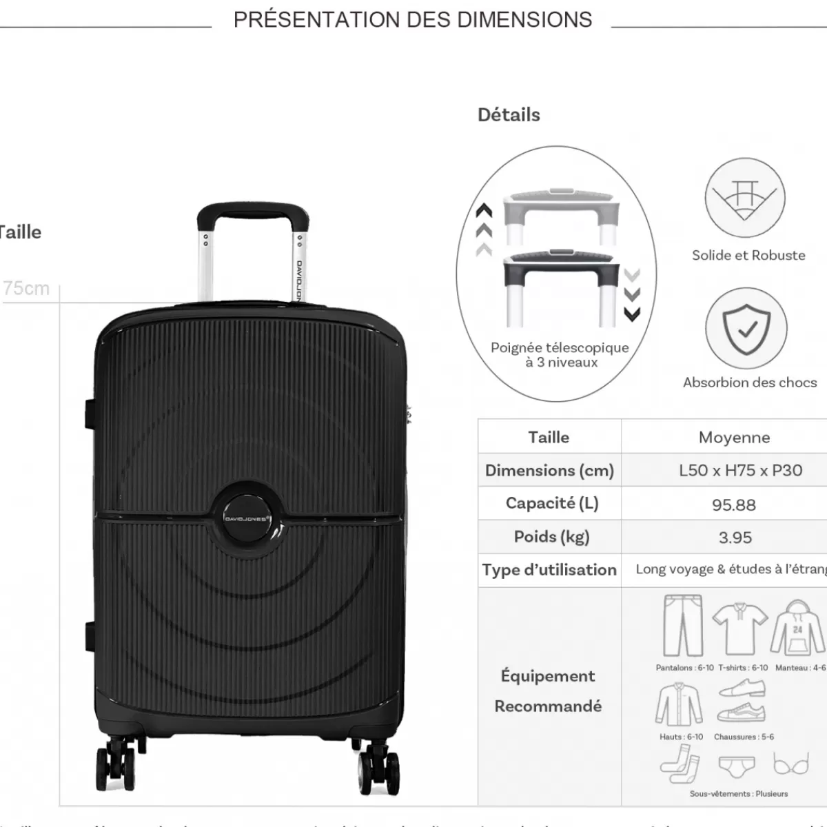 Valise grande taille rigide PETE TSA 75cm^David Jones Cheap