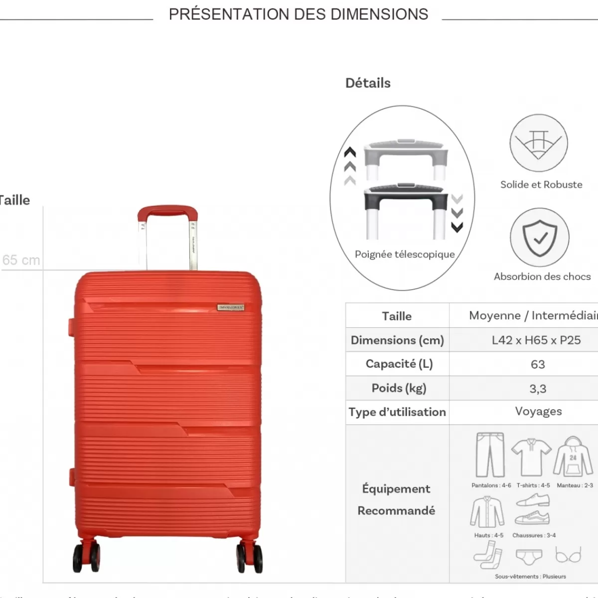 Valise moyenne rigide PETE TSA 65cm^David Jones Online